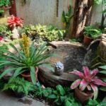 The Garden of Chaba Prai Massage Chiang Mai